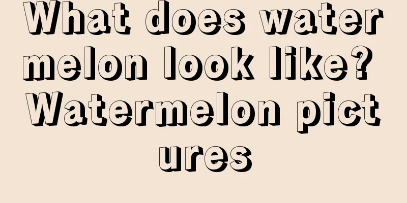 What does watermelon look like? Watermelon pictures