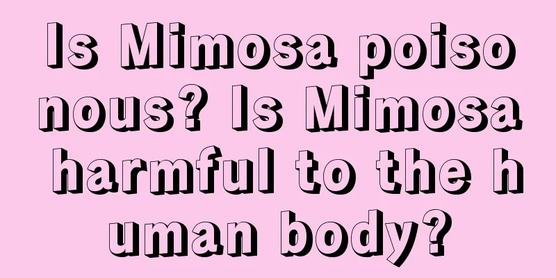 Is Mimosa poisonous? Is Mimosa harmful to the human body?