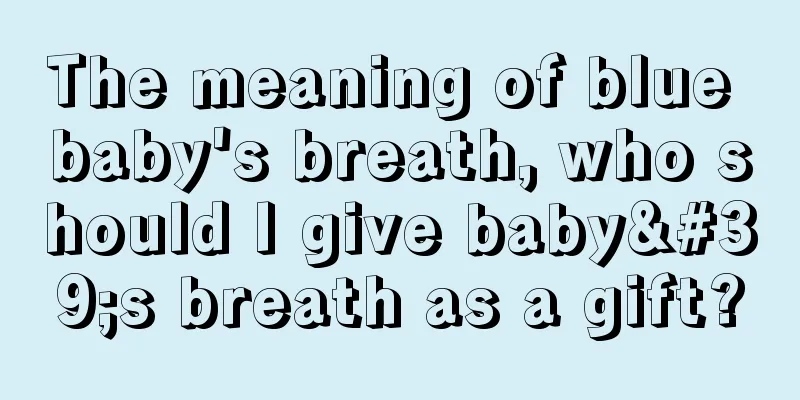 The meaning of blue baby's breath, who should I give baby's breath as a gift?