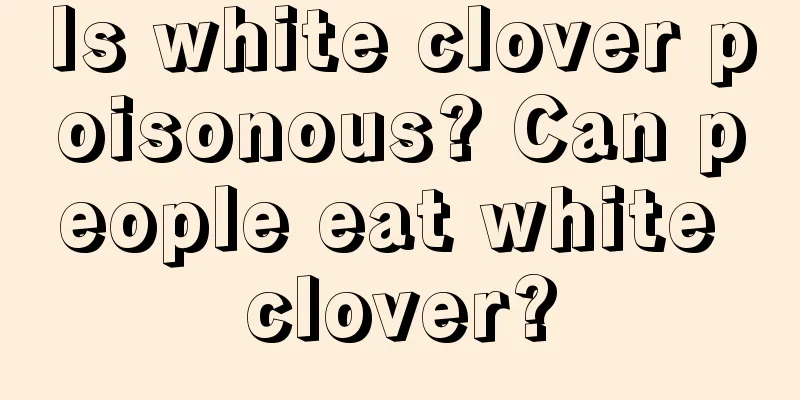 Is white clover poisonous? Can people eat white clover?