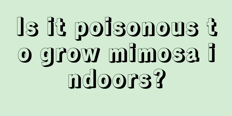 Is it poisonous to grow mimosa indoors?