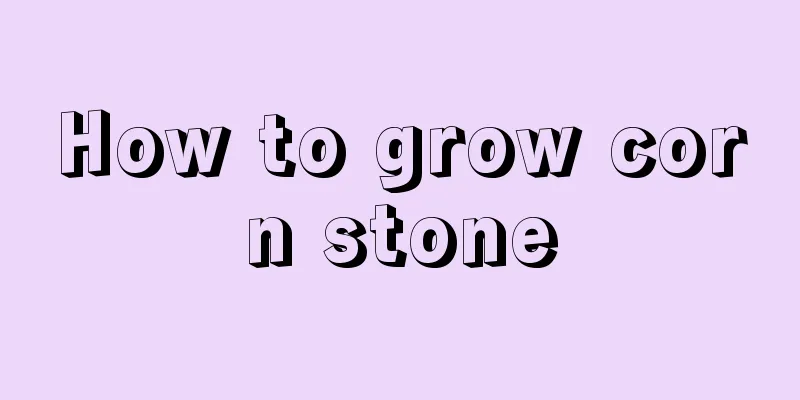 How to grow corn stone