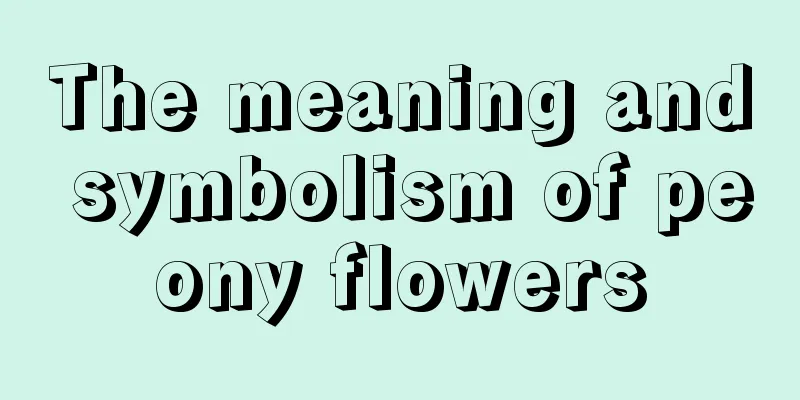 The meaning and symbolism of peony flowers