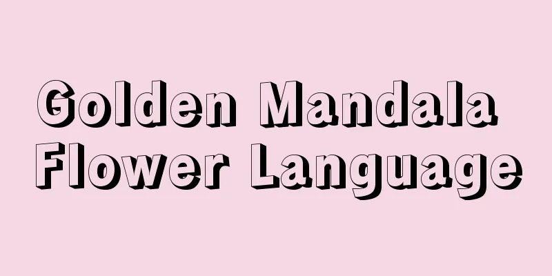 Golden Mandala Flower Language