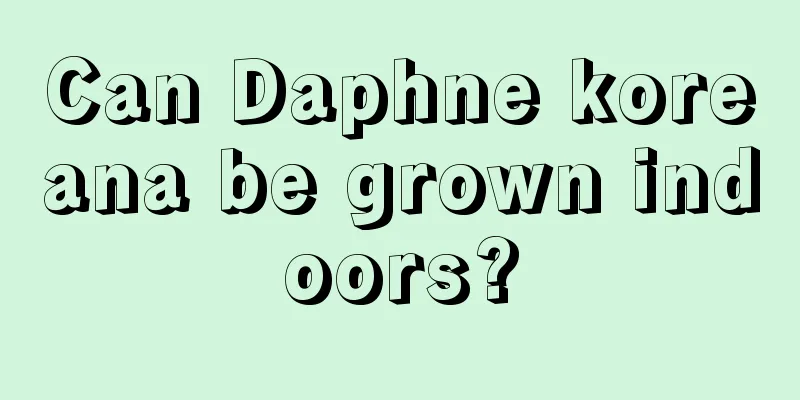 Can Daphne koreana be grown indoors?