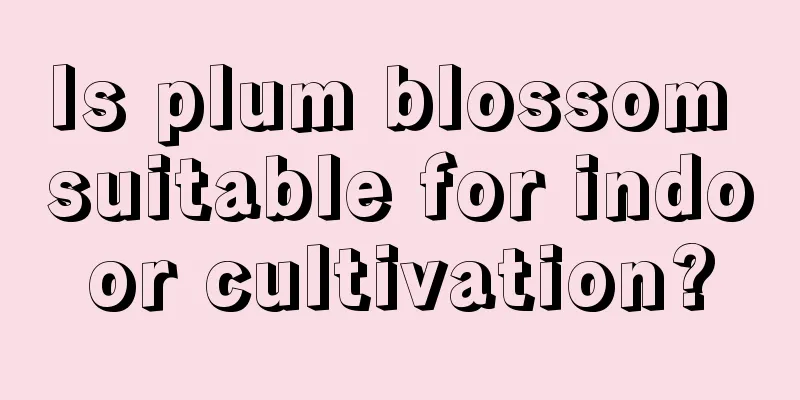 Is plum blossom suitable for indoor cultivation?