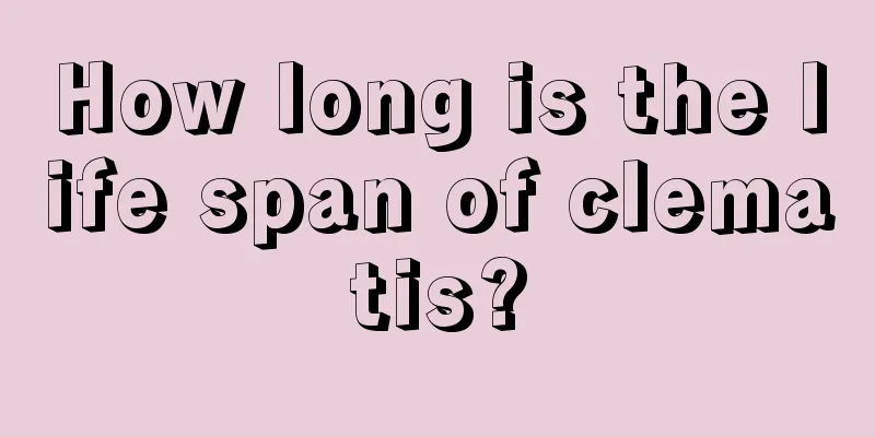 How long is the life span of clematis?