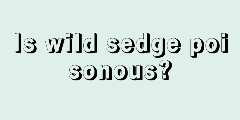 Is wild sedge poisonous?