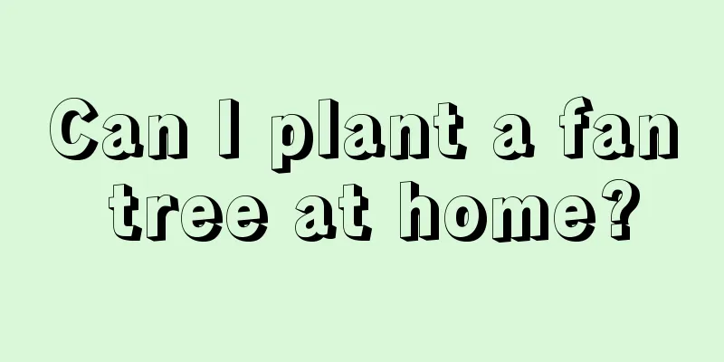 Can I plant a fan tree at home?