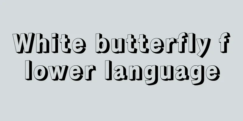 White butterfly flower language