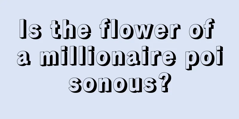 Is the flower of a millionaire poisonous?