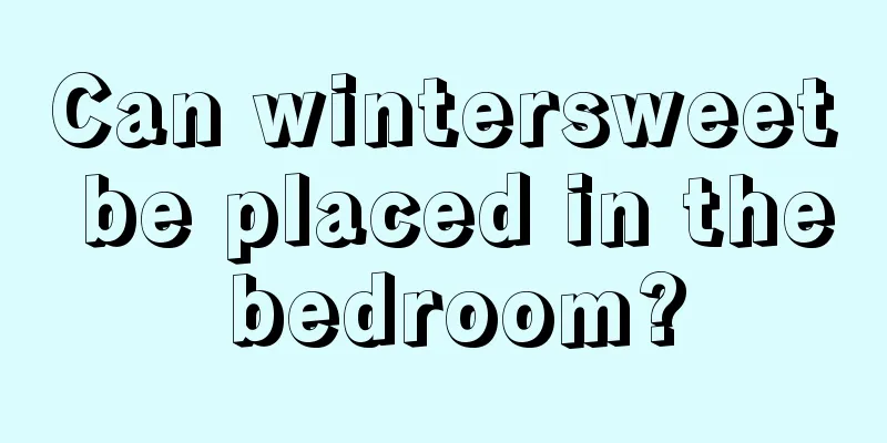 Can wintersweet be placed in the bedroom?