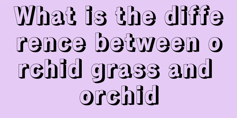 What is the difference between orchid grass and orchid