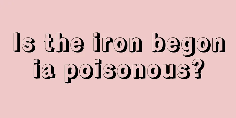 Is the iron begonia poisonous?