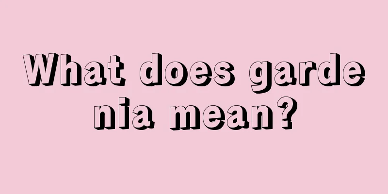 What does gardenia mean?