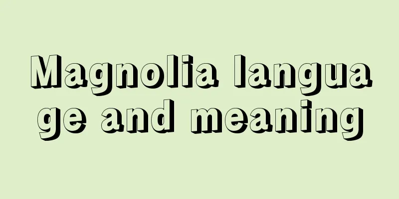 Magnolia language and meaning