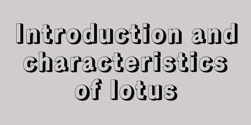 Introduction and characteristics of lotus