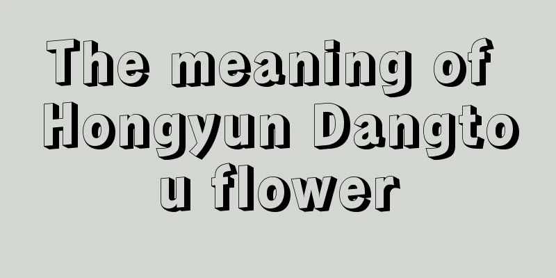 The meaning of Hongyun Dangtou flower