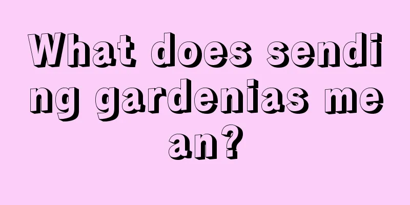 What does sending gardenias mean?