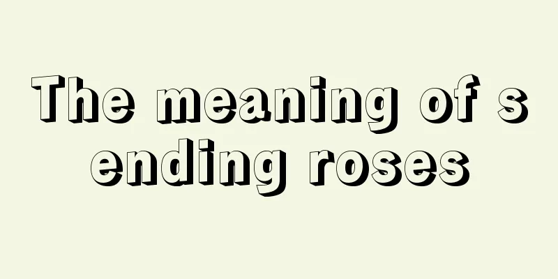 The meaning of sending roses