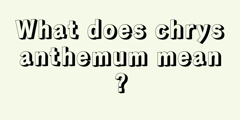 What does chrysanthemum mean?