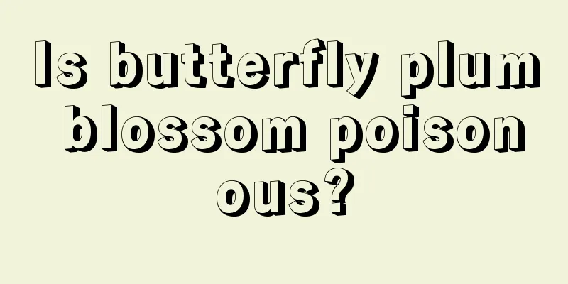 Is butterfly plum blossom poisonous?