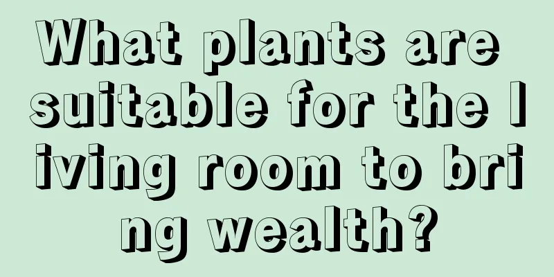 What plants are suitable for the living room to bring wealth?