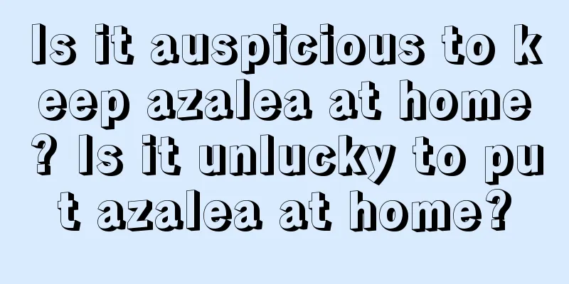 Is it auspicious to keep azalea at home? Is it unlucky to put azalea at home?