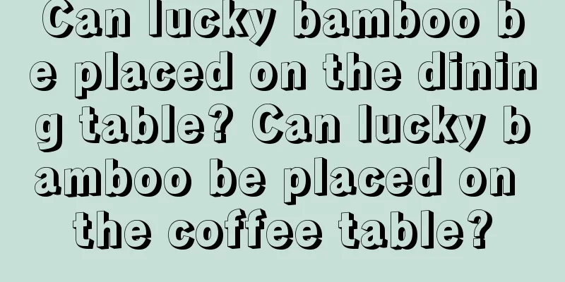 Can lucky bamboo be placed on the dining table? Can lucky bamboo be placed on the coffee table?