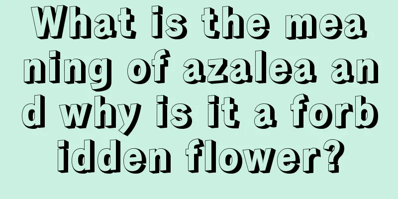 What is the meaning of azalea and why is it a forbidden flower?