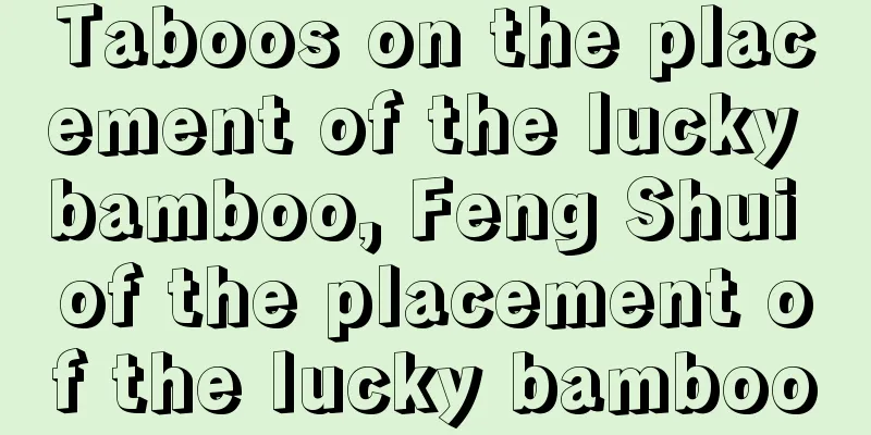 Taboos on the placement of the lucky bamboo, Feng Shui of the placement of the lucky bamboo