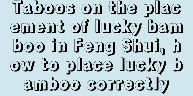 Taboos on the placement of lucky bamboo in Feng Shui, how to place lucky bamboo correctly