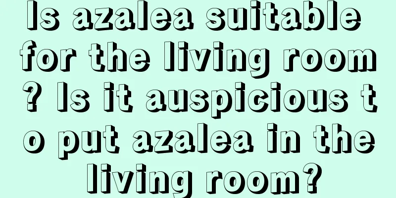 Is azalea suitable for the living room? Is it auspicious to put azalea in the living room?