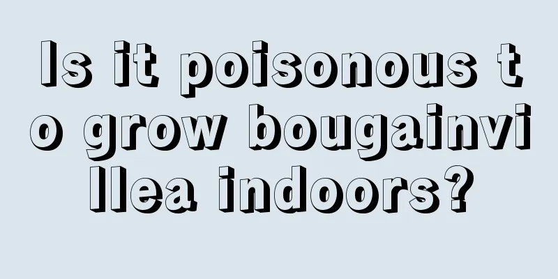 Is it poisonous to grow bougainvillea indoors?