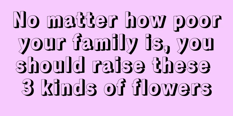 No matter how poor your family is, you should raise these 3 kinds of flowers