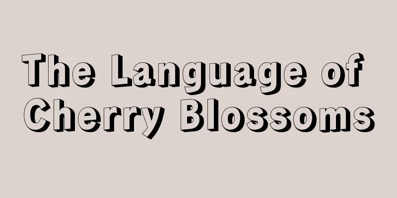 The Language of Cherry Blossoms