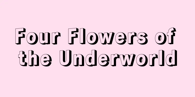 Four Flowers of the Underworld