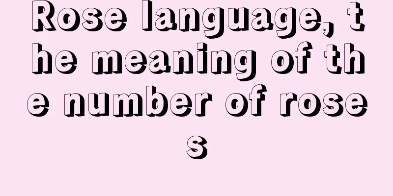 Rose language, the meaning of the number of roses