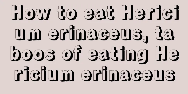 How to eat Hericium erinaceus, taboos of eating Hericium erinaceus