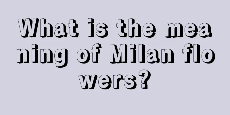 What is the meaning of Milan flowers?