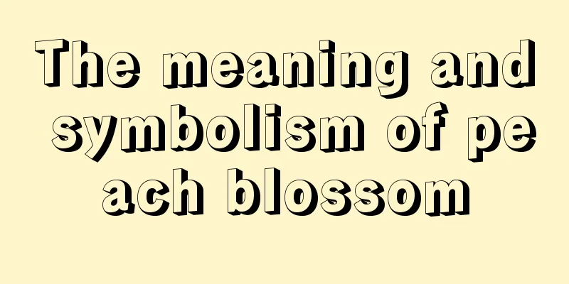 The meaning and symbolism of peach blossom