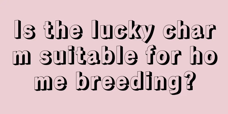 Is the lucky charm suitable for home breeding?