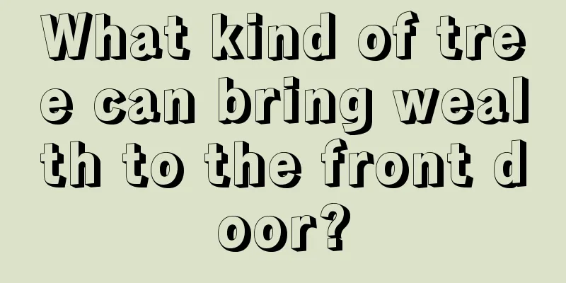 What kind of tree can bring wealth to the front door?