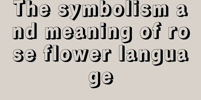 The symbolism and meaning of rose flower language