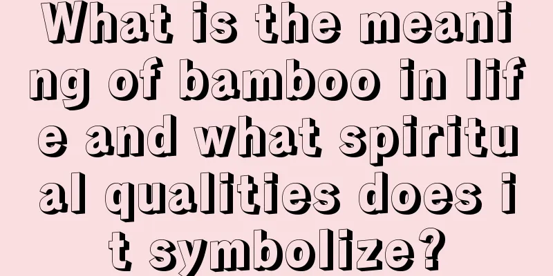 What is the meaning of bamboo in life and what spiritual qualities does it symbolize?