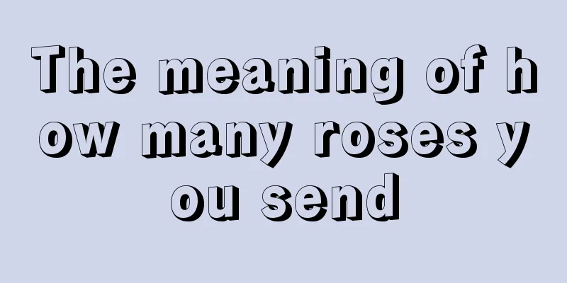 The meaning of how many roses you send