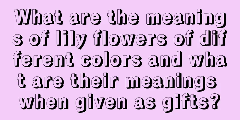 What are the meanings of lily flowers of different colors and what are their meanings when given as gifts?