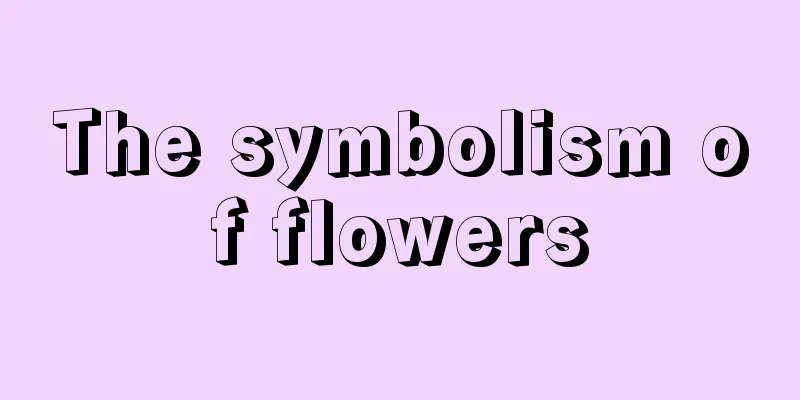 The symbolism of flowers