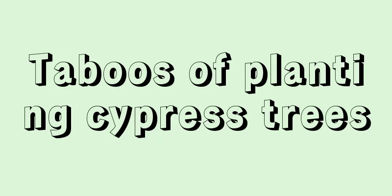 Taboos of planting cypress trees