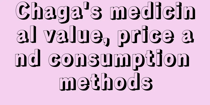 Chaga's medicinal value, price and consumption methods